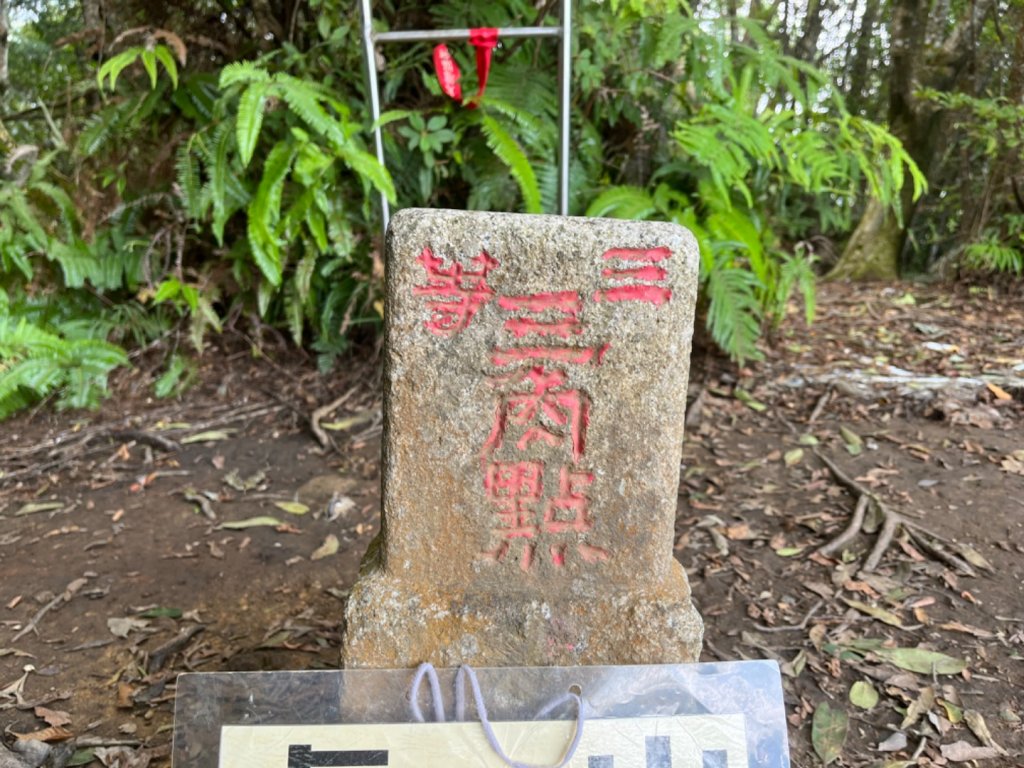 苗栗 泰安 水雲三星 虎山_1845241