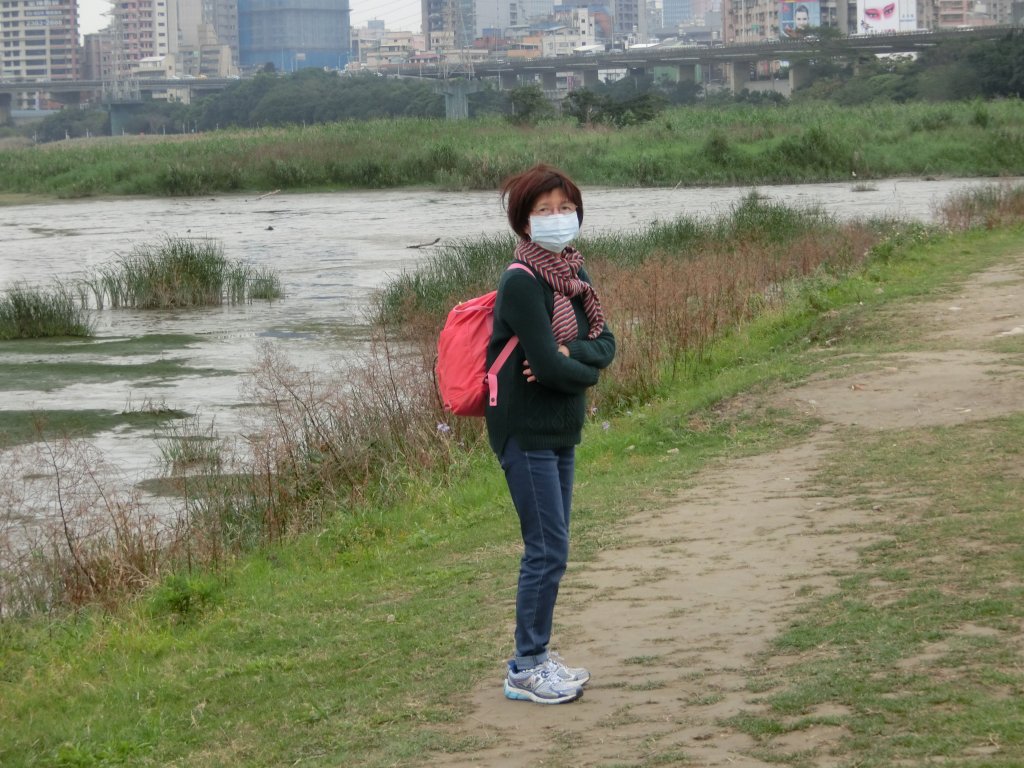 華江雁鴨自然公園_631822