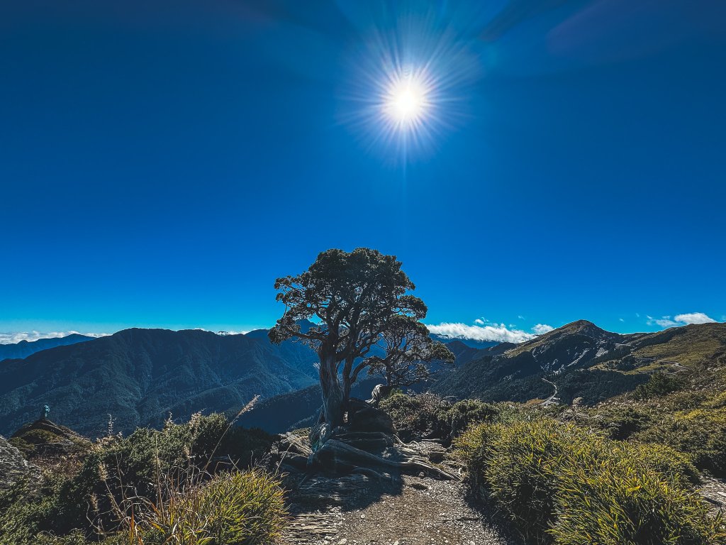 日本帝國廢電線桿之路_2395321
