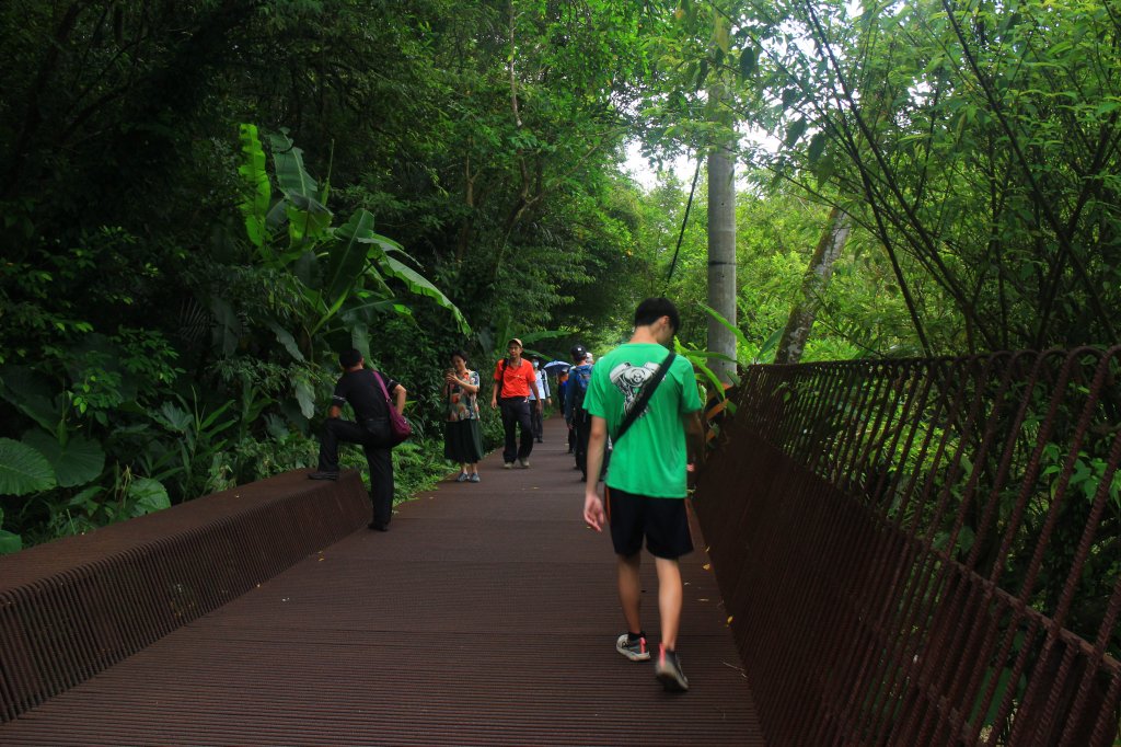 新北．三貂嶺友善生態隧道2023/08/08_2245825