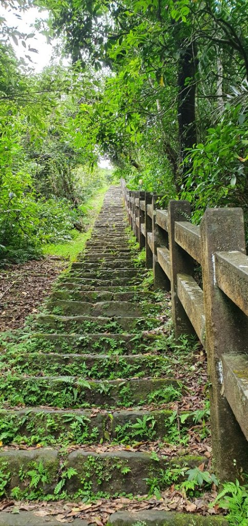 桃源谷石觀音線－上灣坑頭山－大溪線下O型_1055347