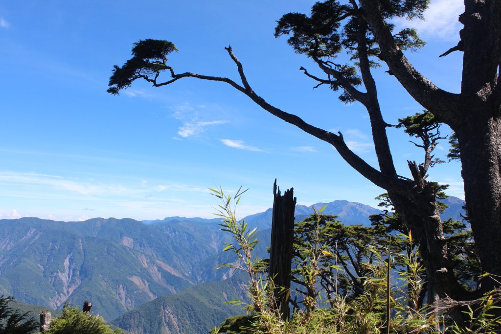 20220620高雄塔關山_1743044