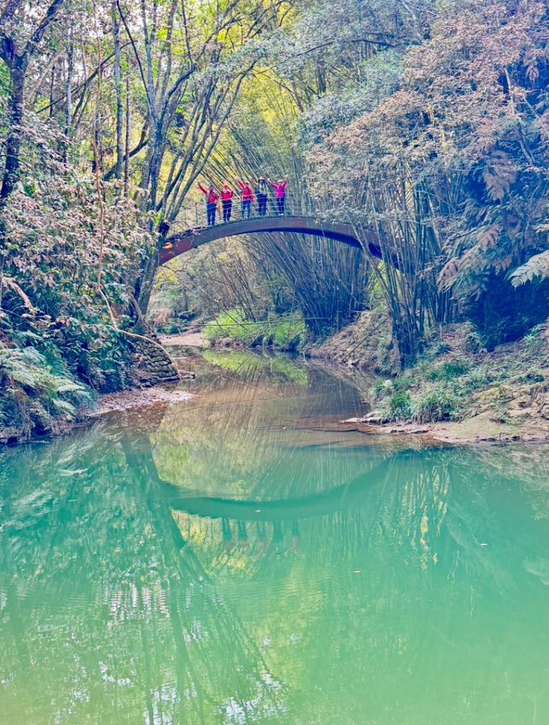 澀水森林步道走小橋流水_2679601