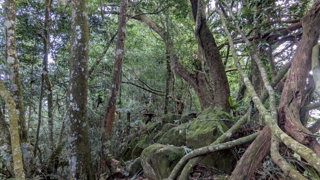 九份二山步道封面圖