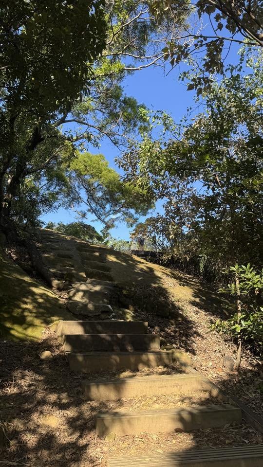 20251123鶯歌石步道_2973984