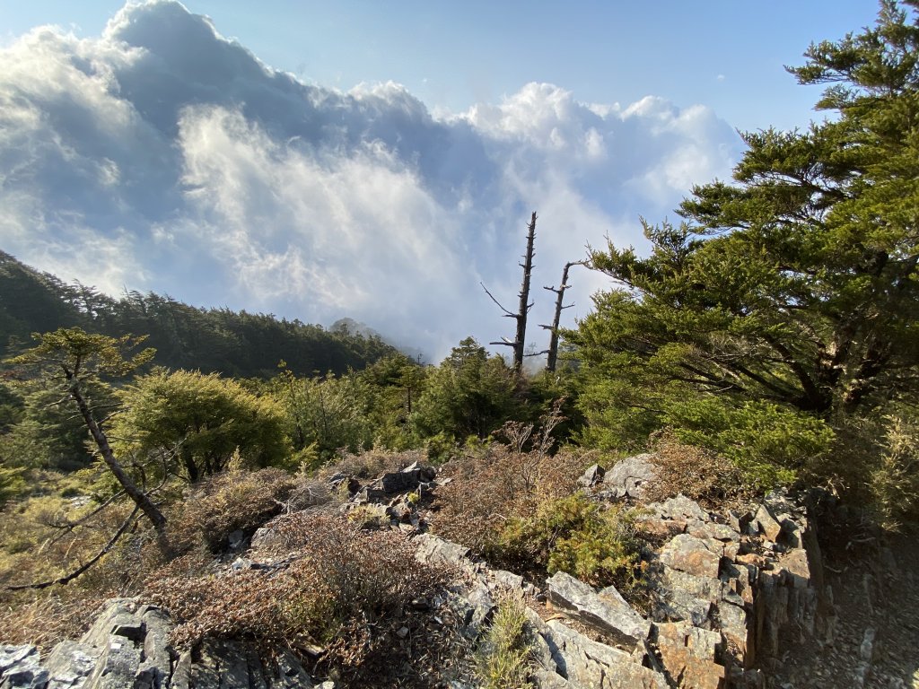 【武陵四秀兩天一夜】│全攻略│_1103564