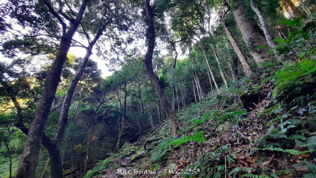 《苗栗》遺世鐵道｜悠遊加里山大坪支線至避難山屋20250822_2867648