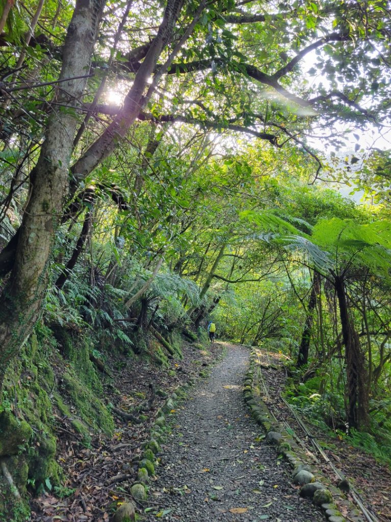 112.11.28 平溪-東勢格越嶺古道_2363025