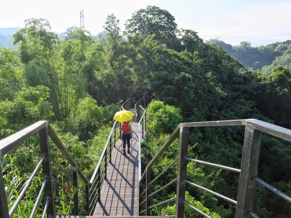 龍過脈森林步道 走一趟森.呼.吸_1453190