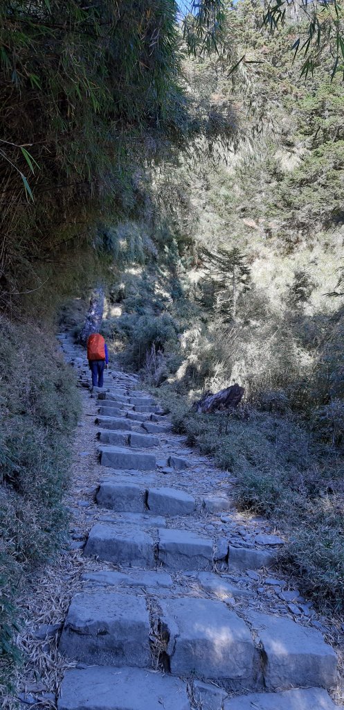 玉山前四峰之旅_869347