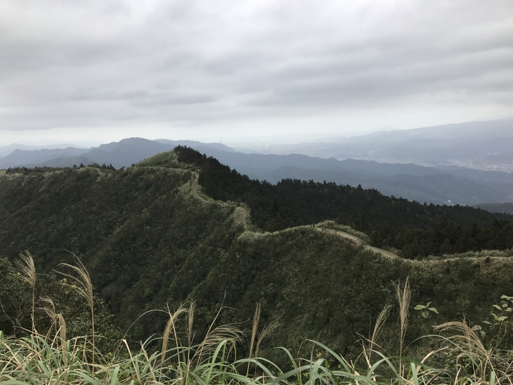 五分山步道_98973