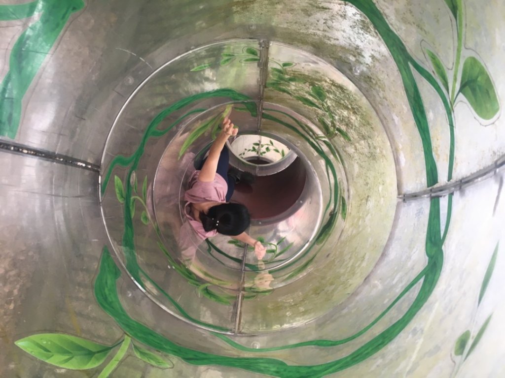 鳶山三連峰O繞一圈（三峽老街祭五臟廟 #鳶山 #鳶山東峰 #鳶尾山 #鳶山岩 #三峽老街封面圖