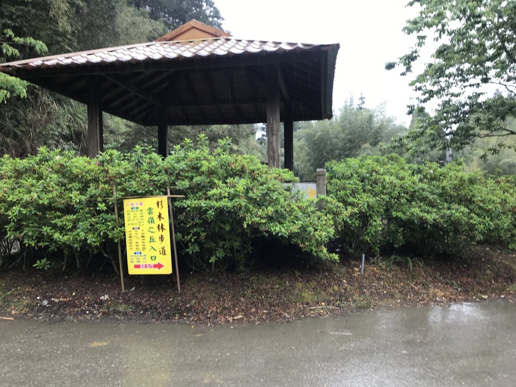 110年4月25日雲林  雲嶺之丘 五元二角 木馬古道_1456552