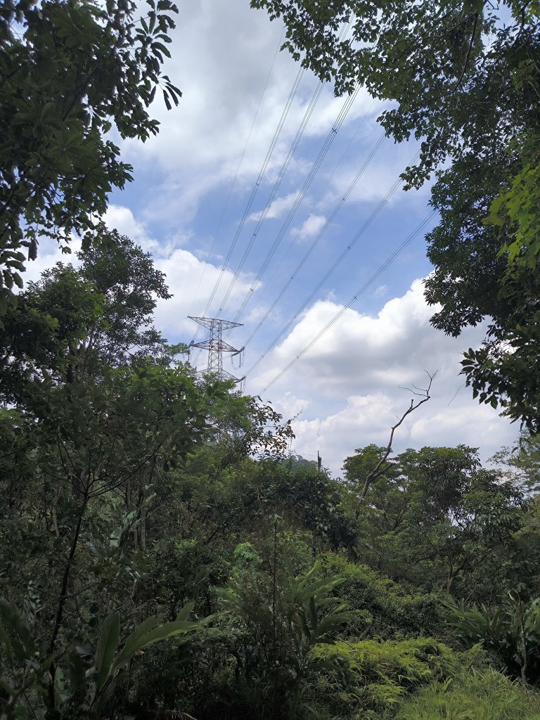 20250830天上山、旺旺嶺、太極嶺_2874086