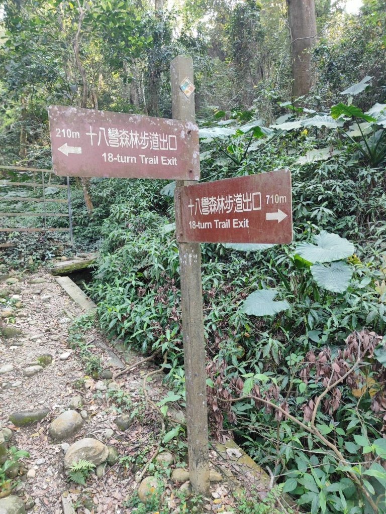 橫山步道-十八彎古道-中央嶺步道_2718094
