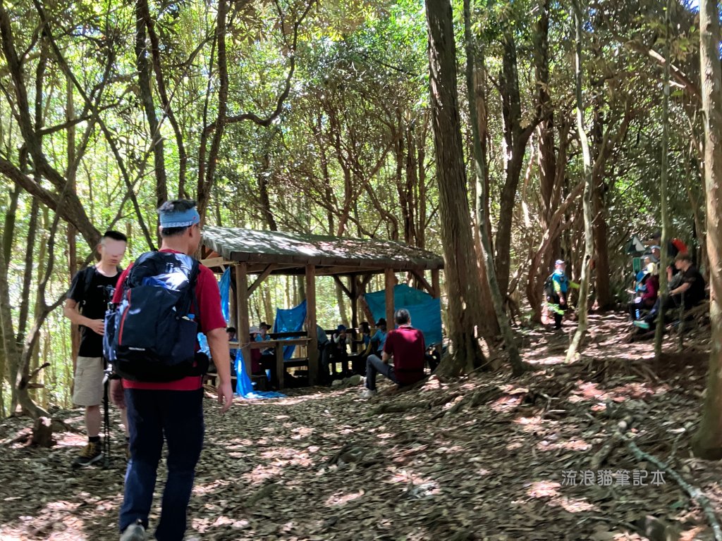 【谷關七雄】八仙山主峰步道_2894868