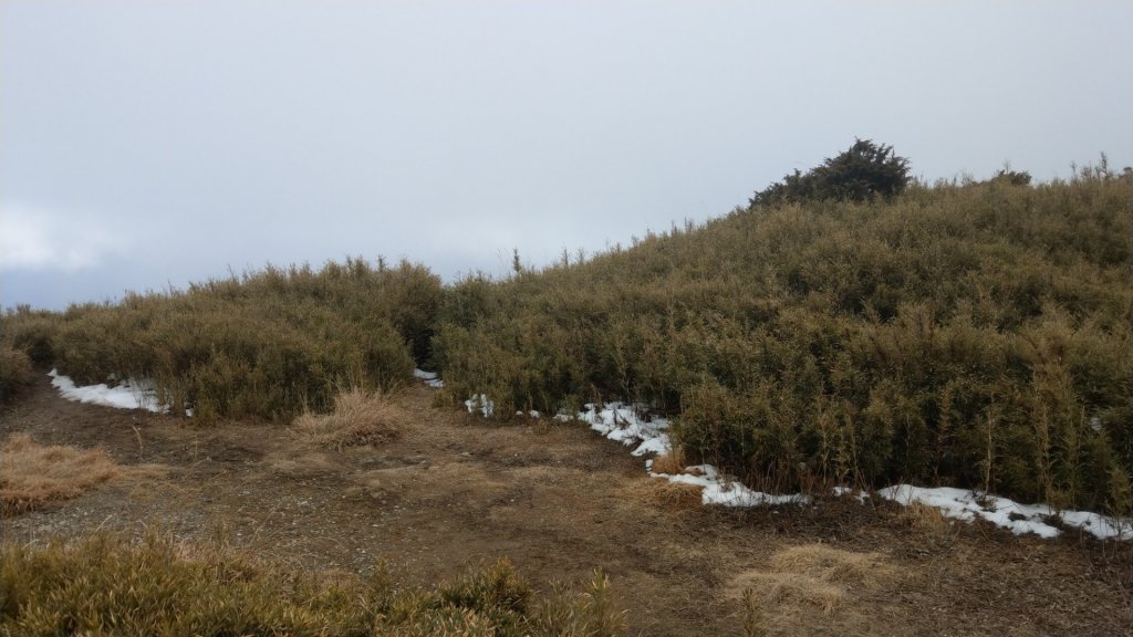 合歡石門山（冬季）雪封面圖