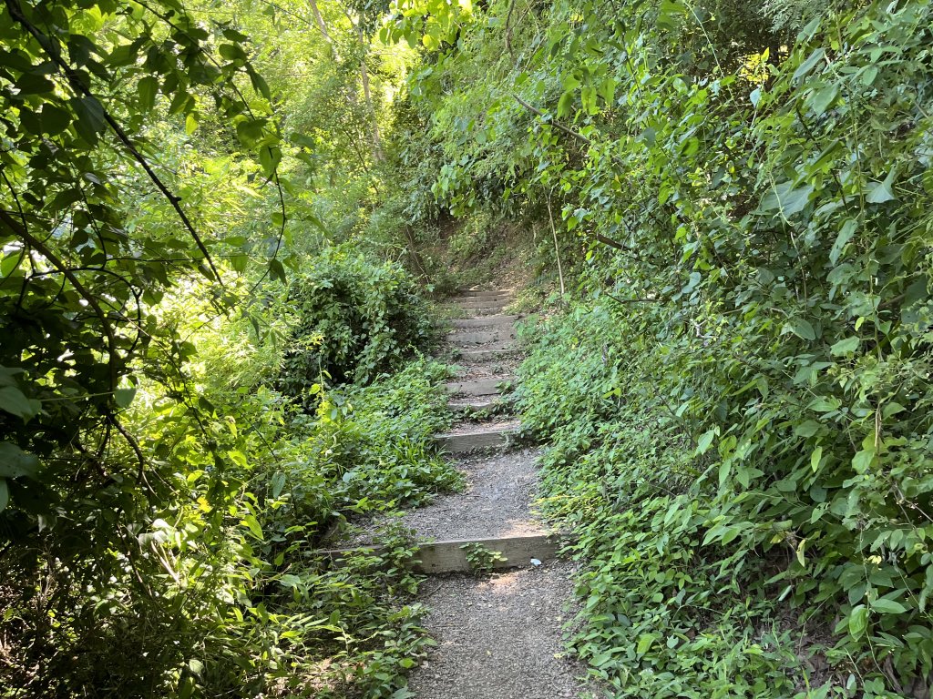 [屏步青雲 尋寶任務-04/10] 2024_0917 浸水營步道（前段）_2597909