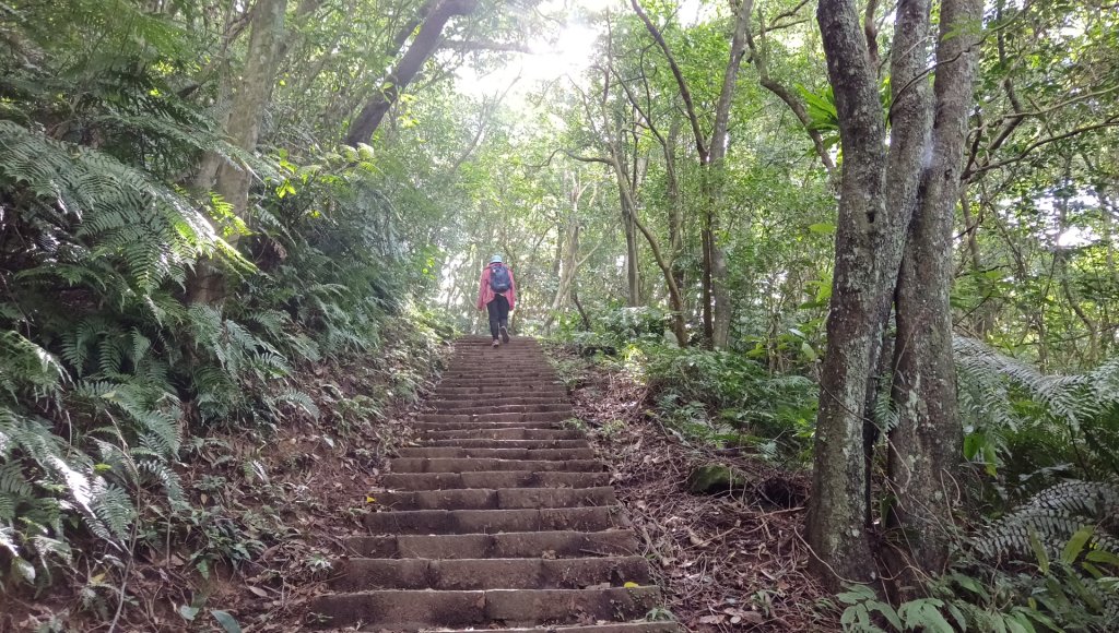 (姨婆趴趴走)第五十五集:攀登健走台北大崙頭尾山親山步道環狀一圈_2853716