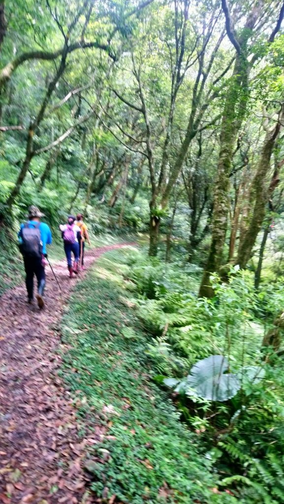 志繼山，東眼山（小百岳），拉卡山O型走_594805