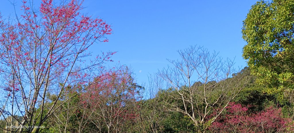 石碇趴趴走追雲趣-星空夜景/曙光日出雲海&差強人意流瀑/霧虹&月亮山櫻花&茶園梅花_2415483