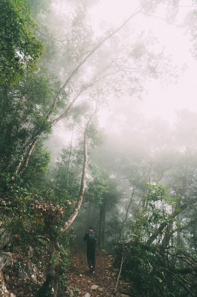 谷關七雄之二｜馬崙山_393302