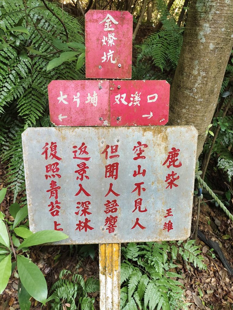 林口頂福巖森林步道_2838118