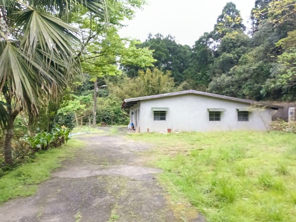雙溪區打鐵寮山-鶯子嶺-坪溪山-烏山63號-烏山越嶺古道(坪溪山北峰)P字走_3023794