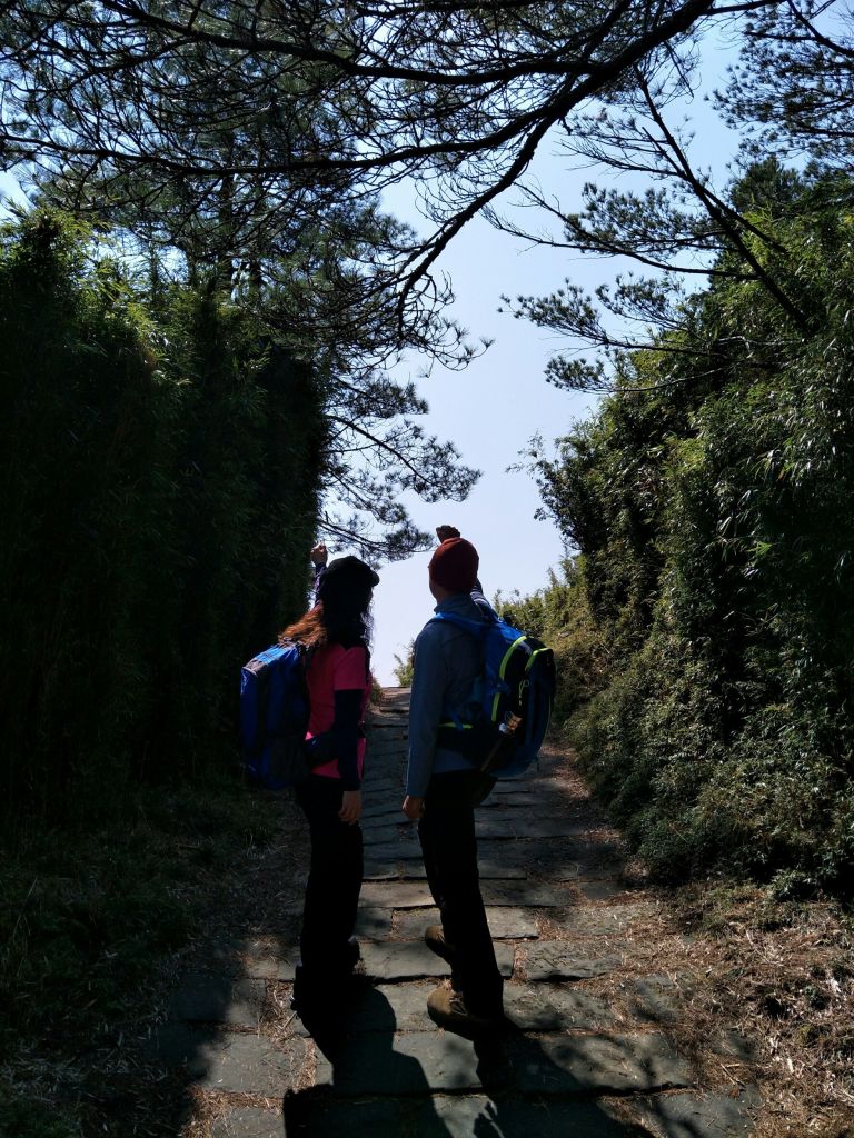 2018.03.17 郡大山麟趾山特富野_290728