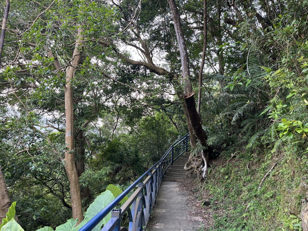 [百山百鳥尋旅-01/15] 2025_0807 和美山步道_2854573