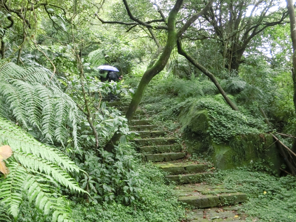 魚路古道（天籟八煙段）．八煙聚落_95178