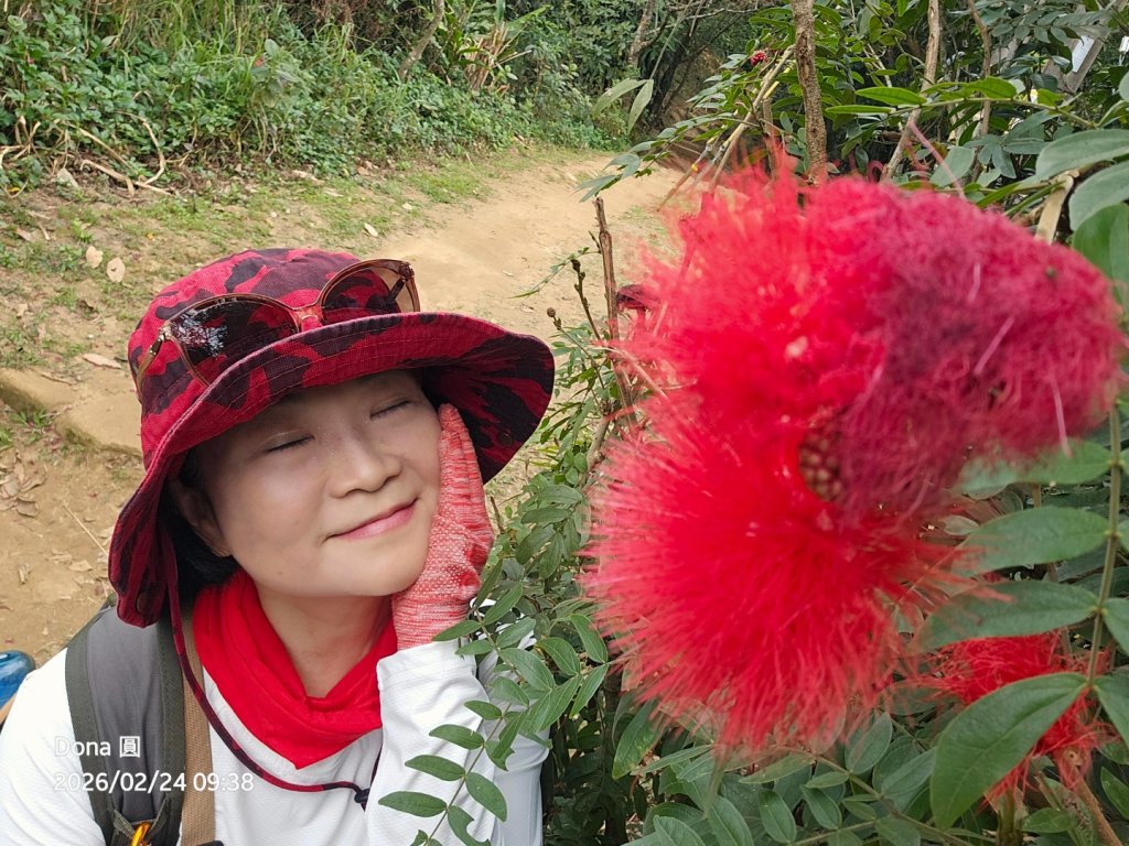 圓通寺烘爐地登山步道大O走_3006989