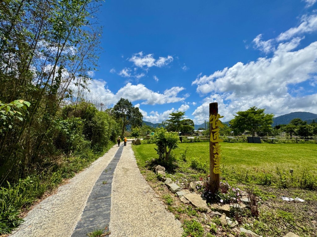 阿里山迷糊步道-福山古道_2793395