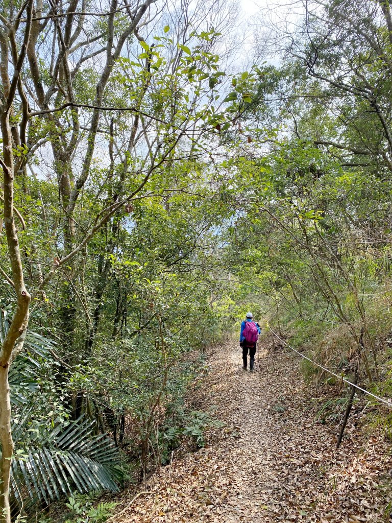 仙女瀑布、暗影山O行 2021.2.19_1276168