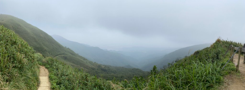 步道巡訪員│聖母登山步道一月巡訪_818950