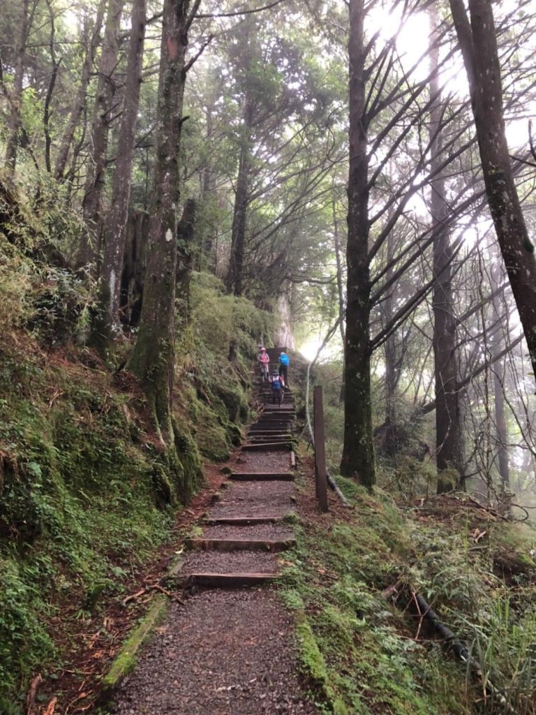 1070815大塔山_390302
