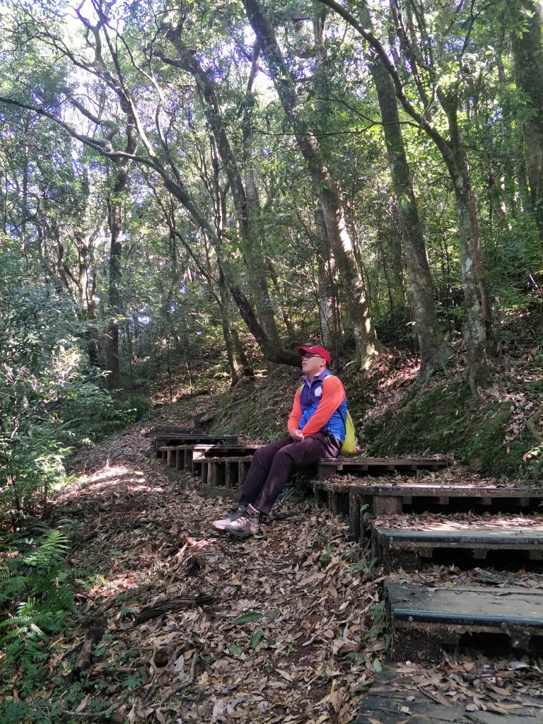2020 10 28 東眼山自導式步道_1146617