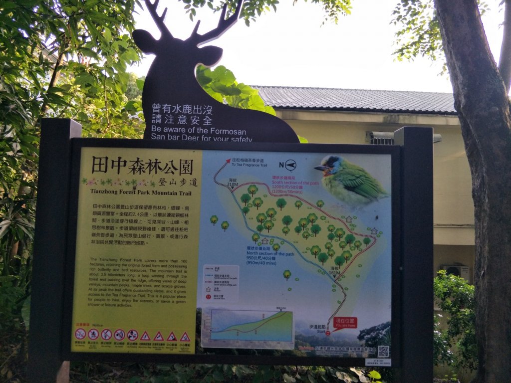 赤水崎公園+田中森林登山步道_1428340