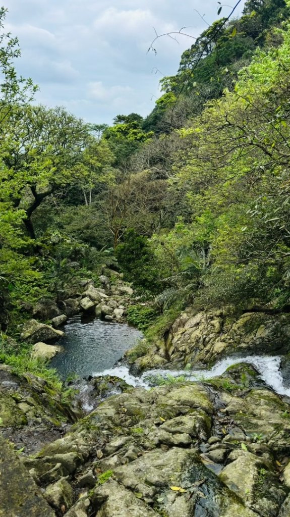 楓樹湖古道、天元宮_2809468
