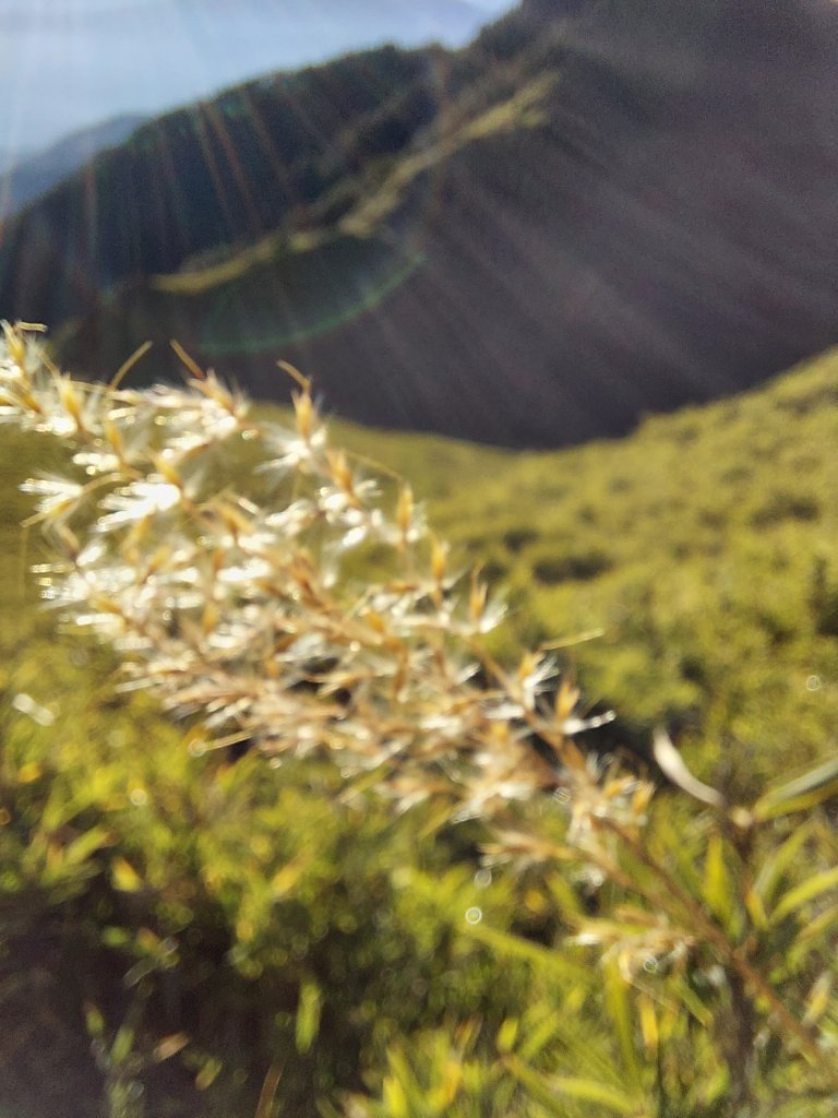 三天兩夜大小劍山_1502548