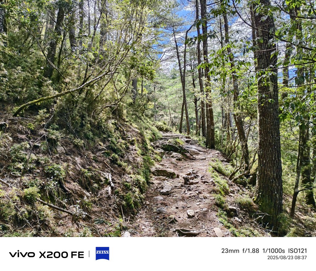 [玉山尋寶任務-04/12] 2025_0823 玉山前峰登山山徑_2869477