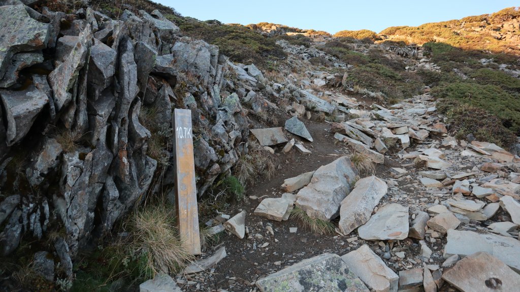 雪山主東峰登山健行趣(百岳02號＆74號)_1882709