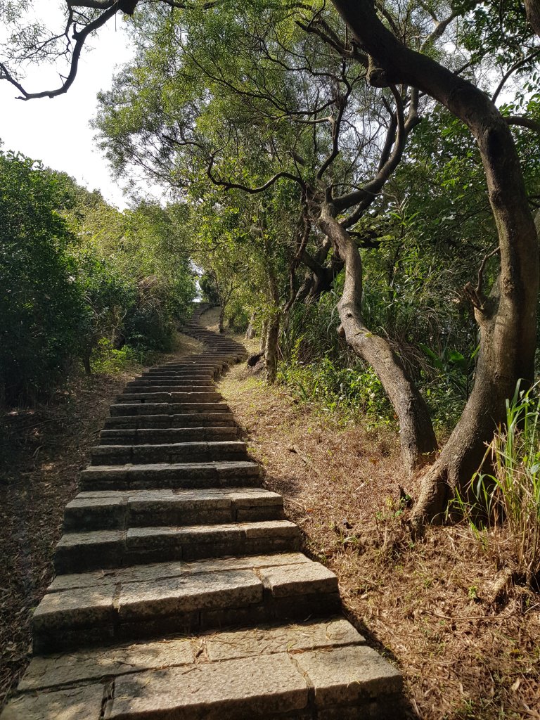 2021.01.25信義區-虎山稜線步道_1247798