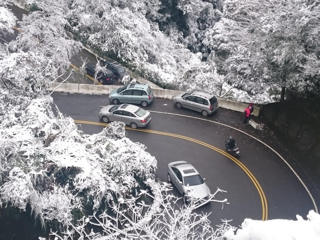 東眼山的銀白世界_29976