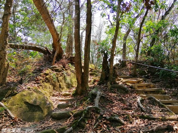 【台中。北屯】山頂視野佳。 小百岳集起來。編號42小百岳~南觀音山_1373389