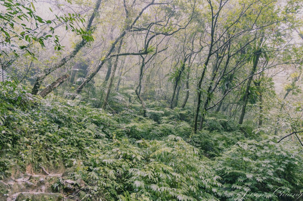 [新北]二格山_2730202