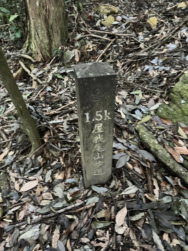屋我尾山（大雪山線）_2867439