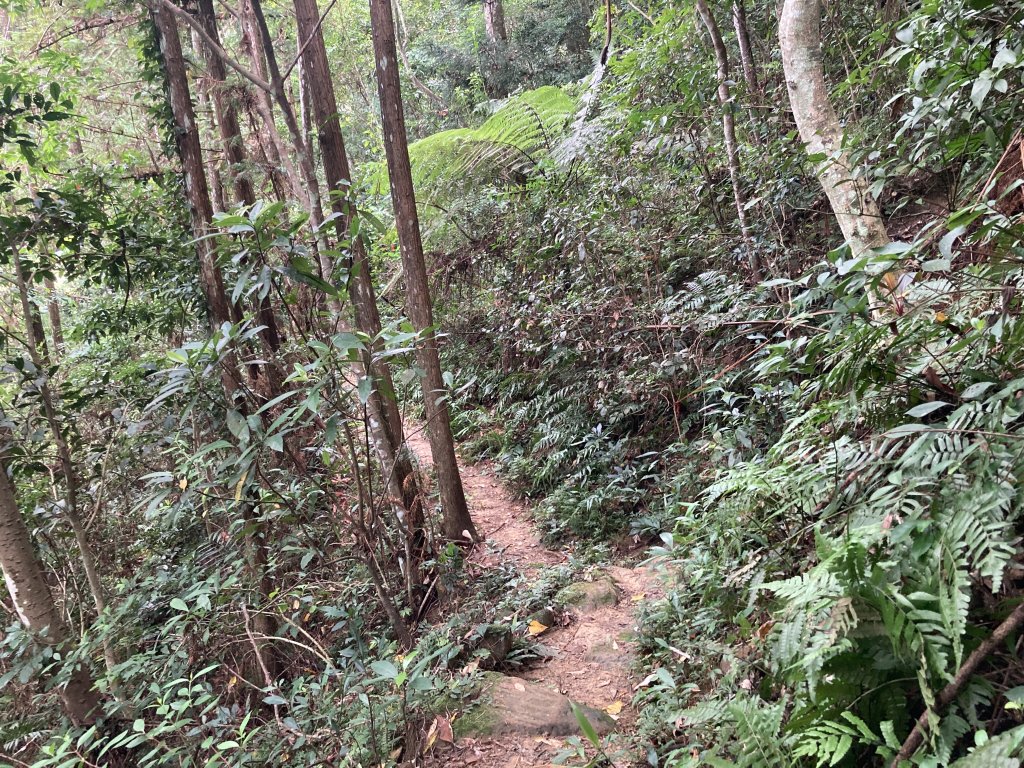 石硬子古道_2555873
