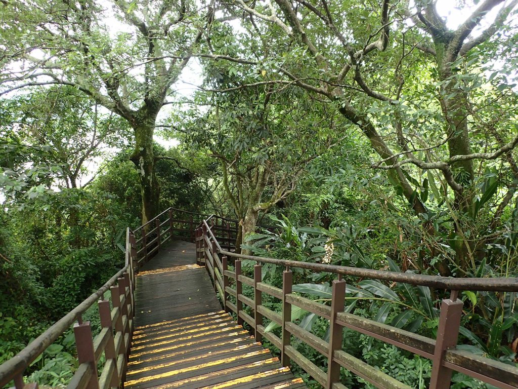 訪仙跡岩, 尋找神仙落腳的痕跡!_1740794