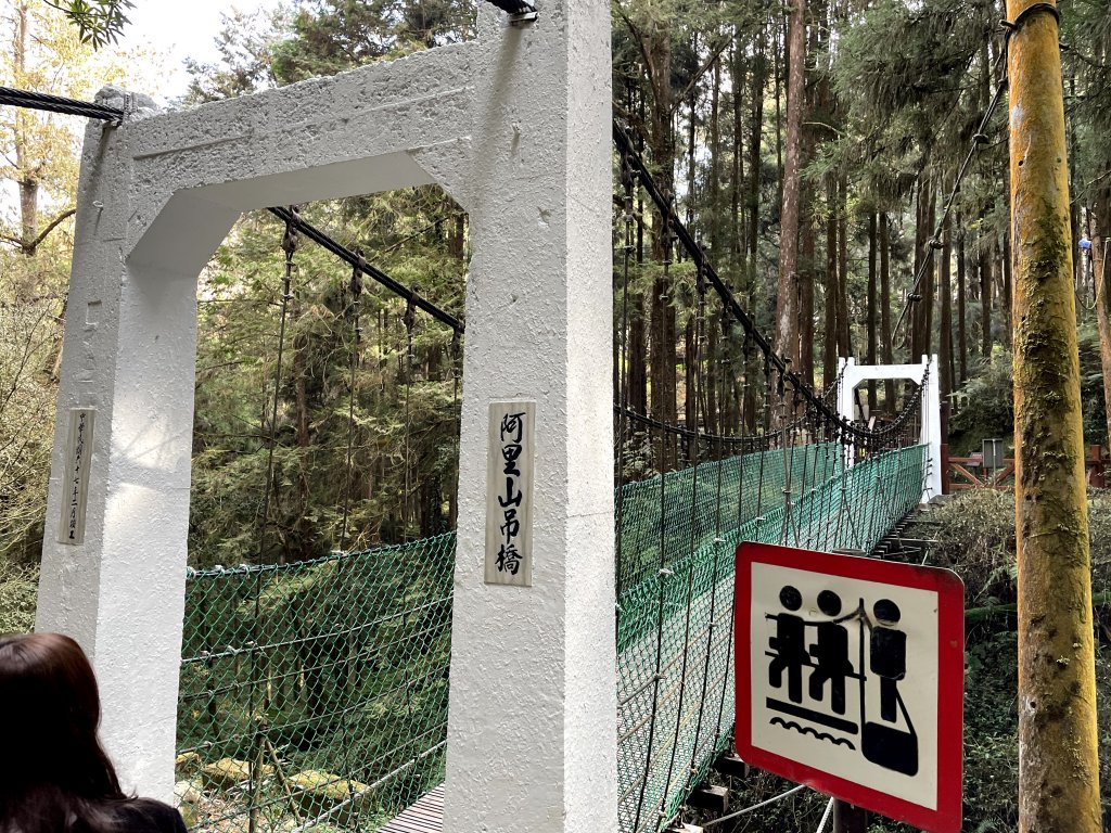 阿里山日出_2039140